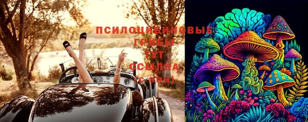 соль ск Абинск